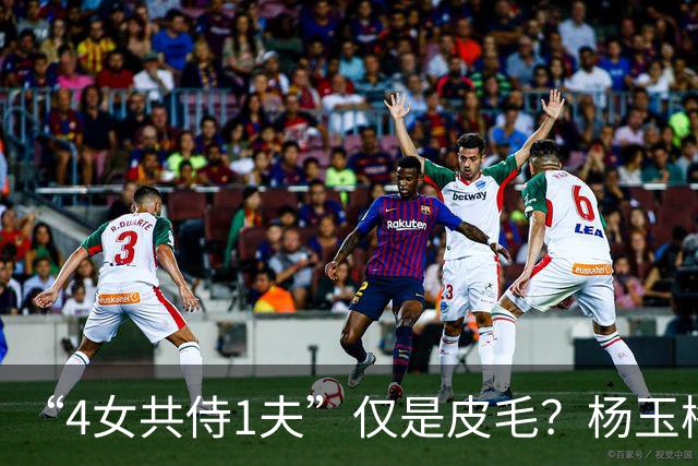“4女共侍1夫”仅是皮毛？杨玉梅真正曝出的，远比你想的更炸裂！