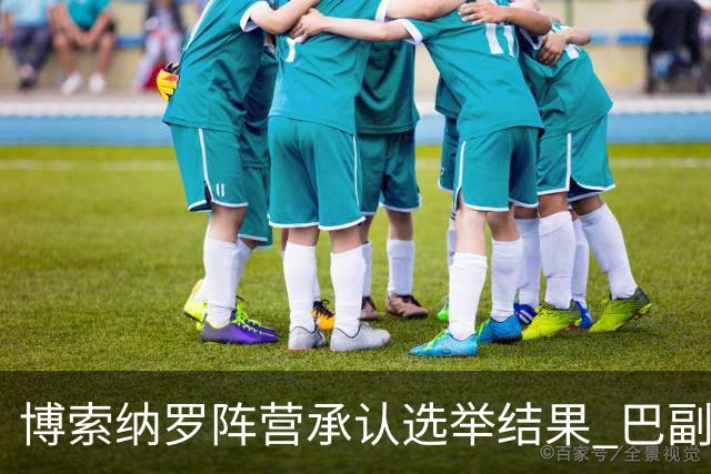 博索纳罗阵营承认选举结果 巴副总统驳斥特朗普言论