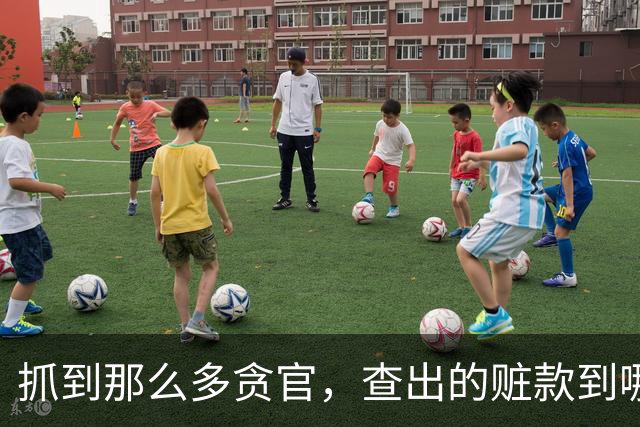 抓到那么多贪官，查出的赃款到哪去了？最后跟老百姓有关系吗？