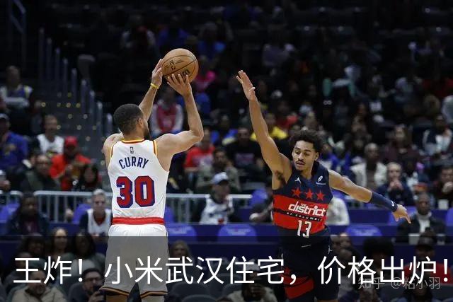 王炸！小米武汉住宅，价格出炉！